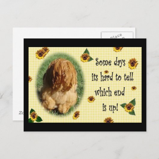 どっちが終わりだ! ポストカード (正面/裏面)