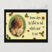 どっちが終わりだ! ポストカード (正面)