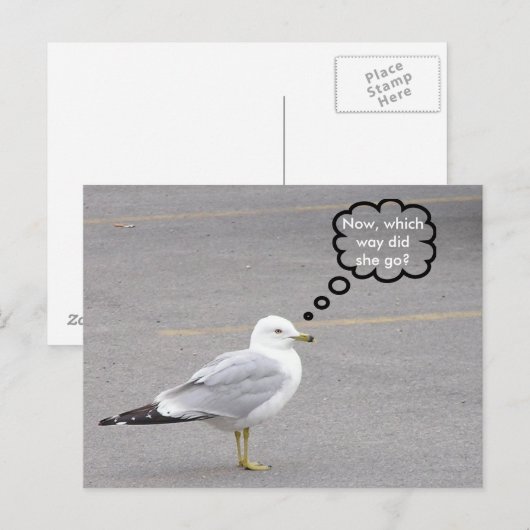 どっち? ポストカード (正面/裏面)