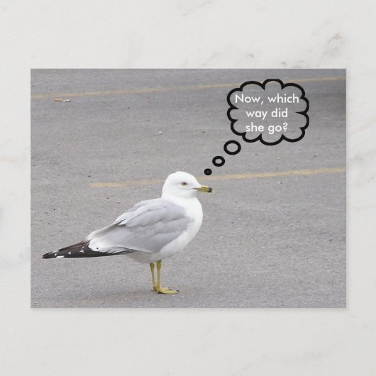 どっち？ ポストカード (正面)