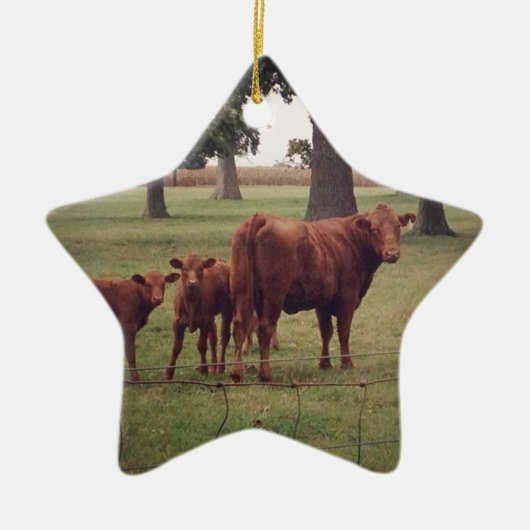 どのように今茶色の牛 セラミックオーナメント (正面)