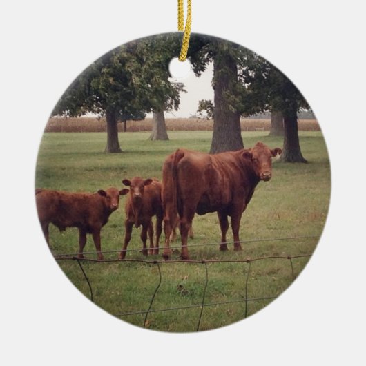 どのように今茶色の牛 セラミックオーナメント (正面)