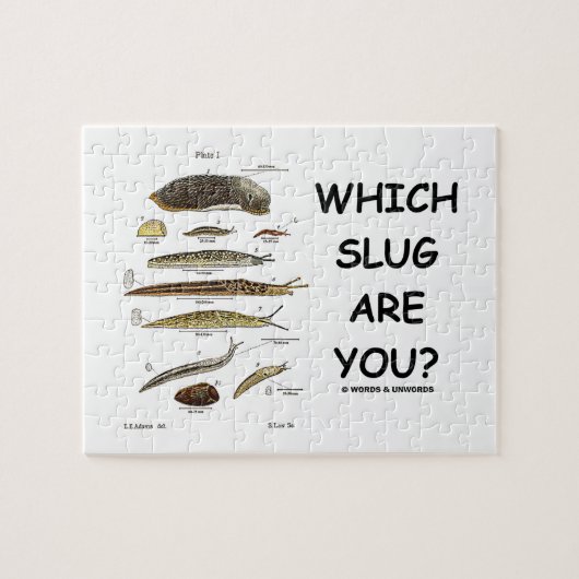 どのスラグですか。 (異なったタイプのスラグ) ジグソーパズル (横)