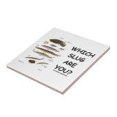 どのスラグですか。 (異なったタイプのスラグ) タイル (側面)