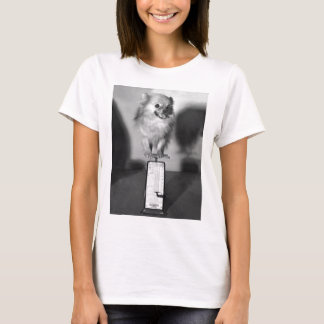 どの位私は重量を量りますか。 Tシャツ