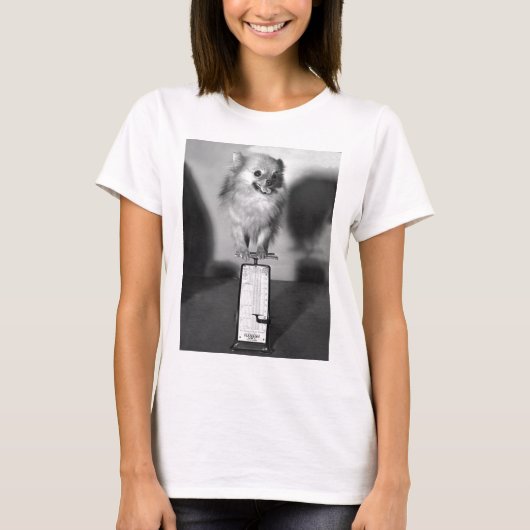 どの位私は重量を量りますか。 Tシャツ (正面)