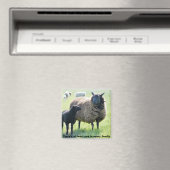 どの家族も黒い羊の磁石を持っている マグネット (インサイチュ (食洗機))