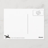 どの方向？ ポストカード (裏面)