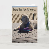 どの犬も毎日その日を持っている！- カード (正面)