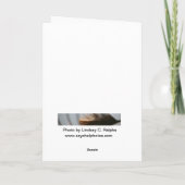 どの色挨拶状だったか カード (裏面)