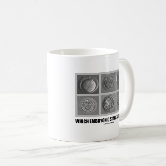どの萌芽期のステージをありますか。 (胚) コーヒーマグカップ (正面右)