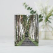 どもしこに行くのか… ポストカード (スタンド正面)