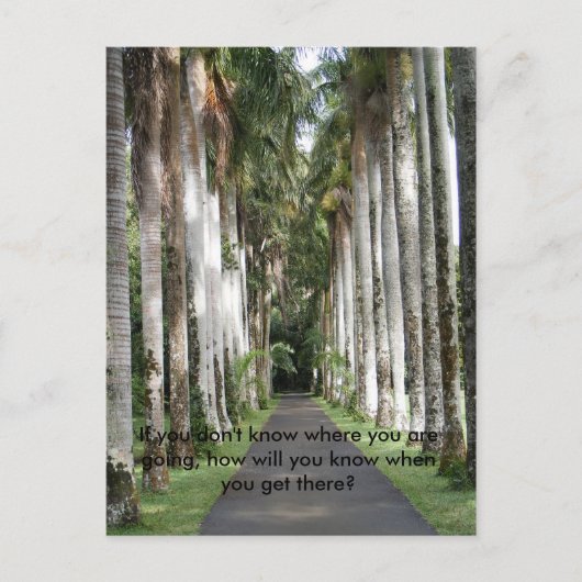 どもしこに行くのか… ポストカード (正面)