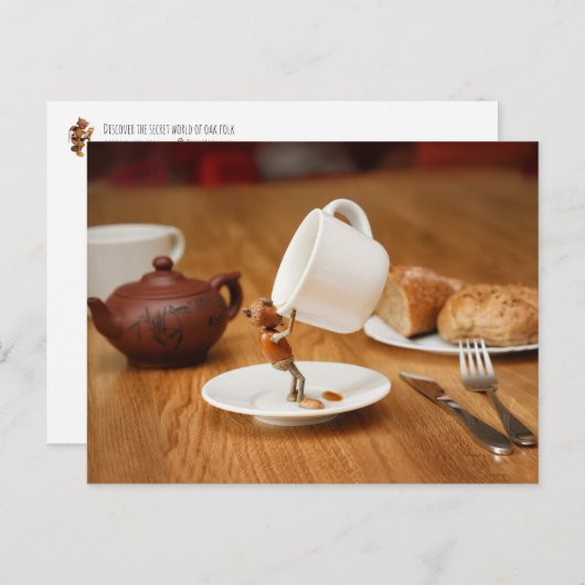 どんぐりの小妖精や小人がコーヒーを飲んでる! ポストカード (正面/裏面)