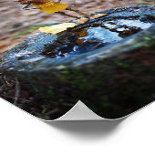 どんぐりの小妖精や小人が強くなる ポスター (角)