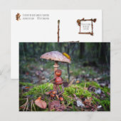 どんぐりの小妖精や小人が犬とキノコの下に隠れている ポストカード (正面/裏面)
