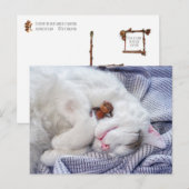 どんぐりの小妖精や小人と猫 ポストカード (正面/裏面)