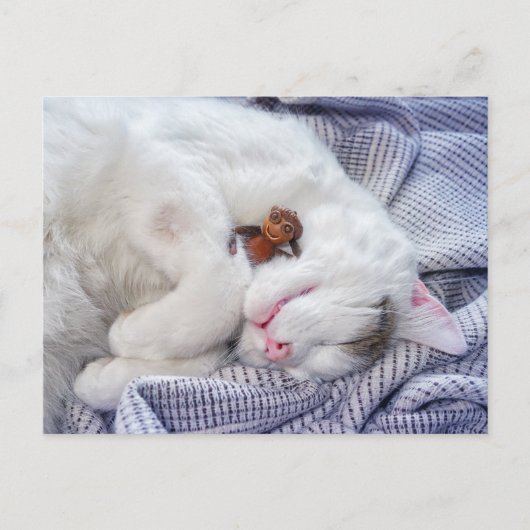 どんぐりの小妖精や小人と猫 ポストカード (正面)