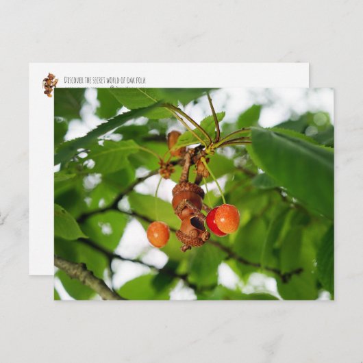 どんぐりの小妖精や小人は食べこうもりのようなさくらんぼだ ポストカード (正面/裏面)