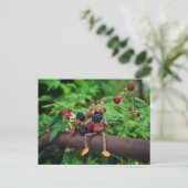 どんぐりの小妖精や小人は食べのブラックベリー ポストカード (スタンド正面)