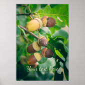 どんぐりを持つオークの枝 ポスター (正面)