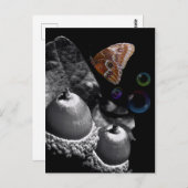 どんぐり蝶と泡 ポストカード (正面/裏面)