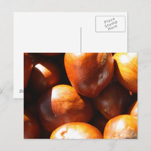 どんぐり ポストカード (正面/裏面)