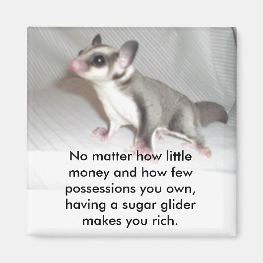 どんなに少ないお金でも… マグネット (正面)