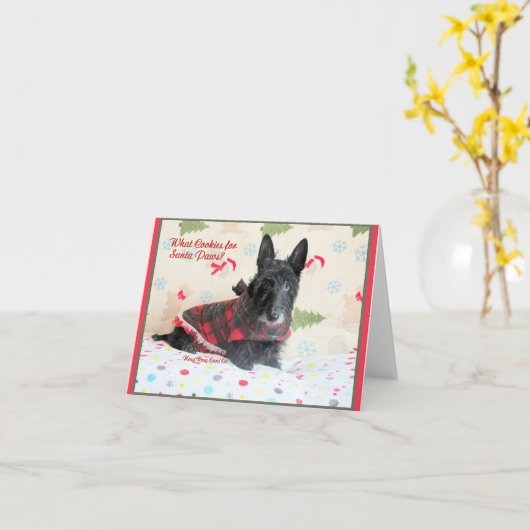 どんなクッキーだ？ カード (黄色い花)