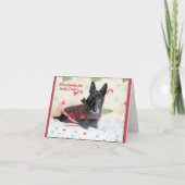 どんなクッキーだ？ カード (正面)