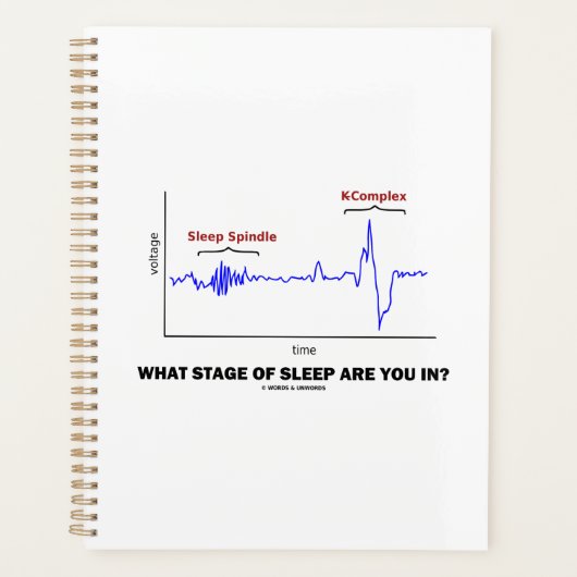 どんなステージに寝てるの？ プランナー手帳 (正面)