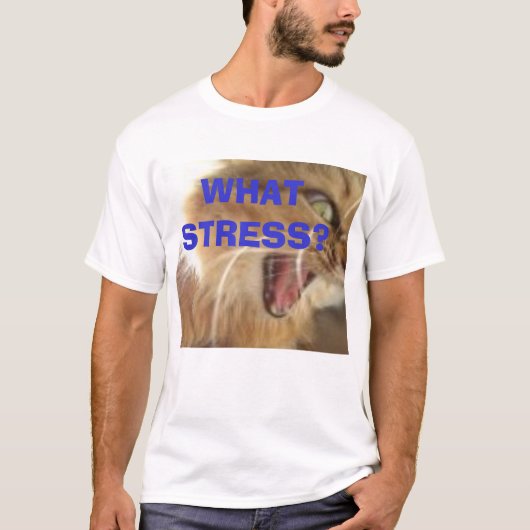 どんなストレスか。 Tシャツ (正面)