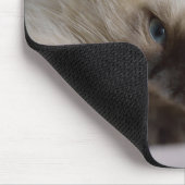 どんなマウス、マウスパッドか マウスパッド (コーナー)