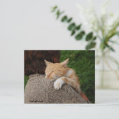 どんな子供だって子供なんだ ポストカード (スタンド正面)