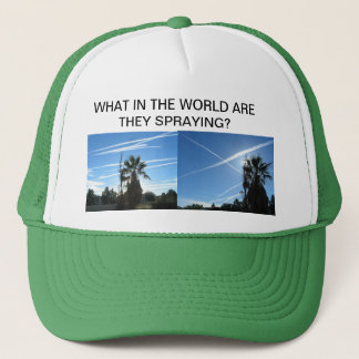 どんな帽子か キャップ