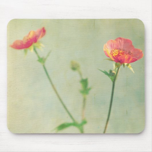 どんな次のマウスパッドか マウスパッド (正面)