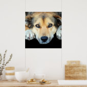 どんな色の背景でも可愛い犬 ポスター (キッチン)