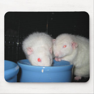 ないマウスパッド… マウスパッド