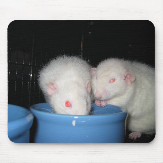 ないマウスパッド… マウスパッド (正面)