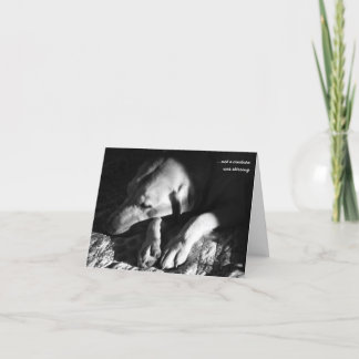 …ない創造物は感動的でした シーズンカード