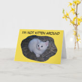 ない子ネコ カード (黄色い花)