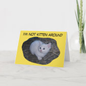 ない子ネコ カード (正面)