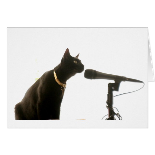 ないRCA (正面横)