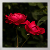 なごむ赤 ポスター (正面)