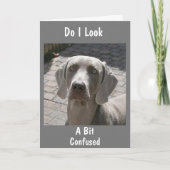 **なぜあなた方の仕事が混乱し離れているのか？ カード (正面)