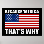 なぜなら'MERICA THAT WHY US Flag Poster （小） ポスター (正面)