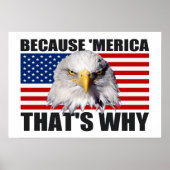 なぜなら'MERICA THAT WHY US Flag Poster (large) ポスター (正面)