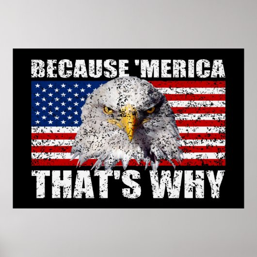 なぜなら'MERICA THAT WHY US Flag Poster (large) ポスター (正面)