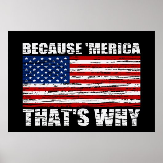なぜなら'MERICA THAT WHY US Flag Poster (large) ポスター (正面)