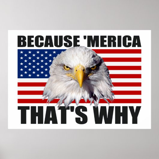 なぜなら'MERICA THAT WHY US Flag Poster (large) ポスター (正面)